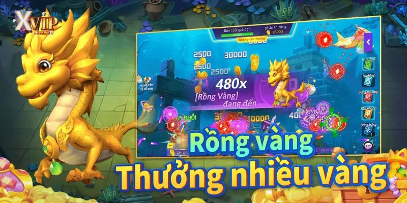 Chinh phục những con cá rồng đầy màu sắc và nhận thưởng khủng tại XVIP.