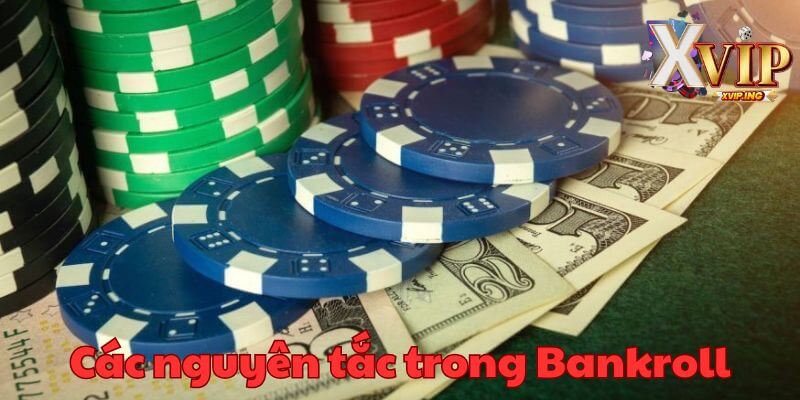 Nắm rõ những nguyên tắc cơ bản trong Bankroll mang nhiều lợi ích