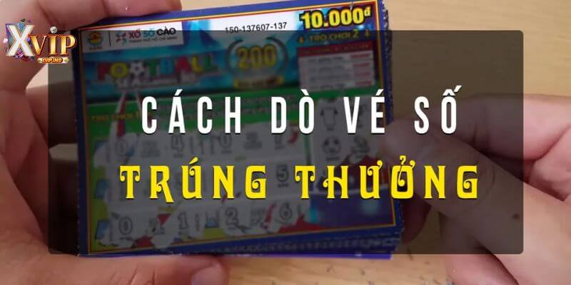 Cách dò vé số nhanh đóng vai trò hết sức quan trọng.