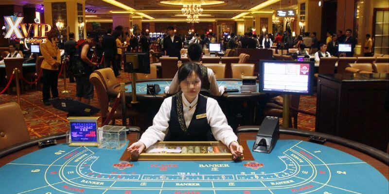 Để chơi game bài tại casino XVIP an toàn hội viên có thể tham khảo một số bí quyết.