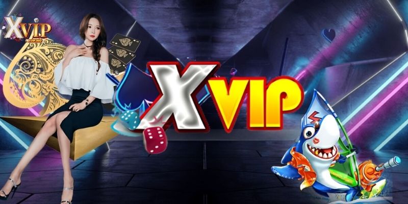 Biết rõ từng điều kiện để bạn đăng ký XVIP nhanh chóng.