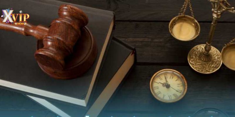 Lưu ý quan trọng giúp bạn nắm rõ mọi quy định về chính sách.