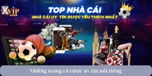 những trang cá cược uy tín