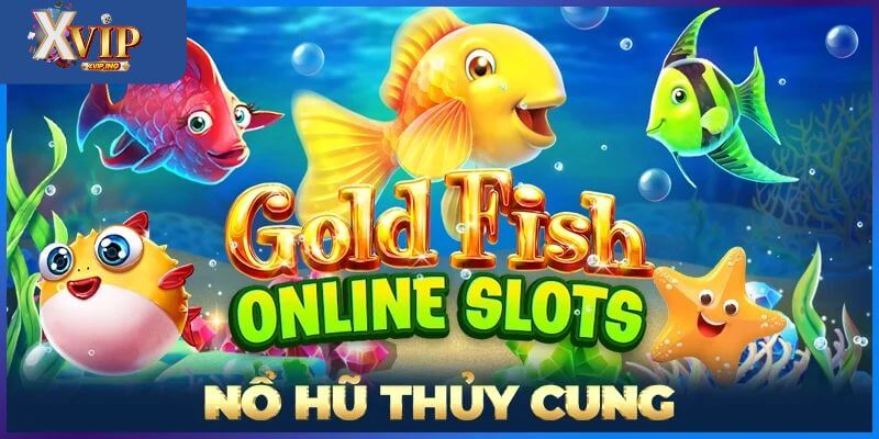 Sẵn sàng chinh phục những kho báu ẩn giấu dưới đáy đại dương cùng XVIP.