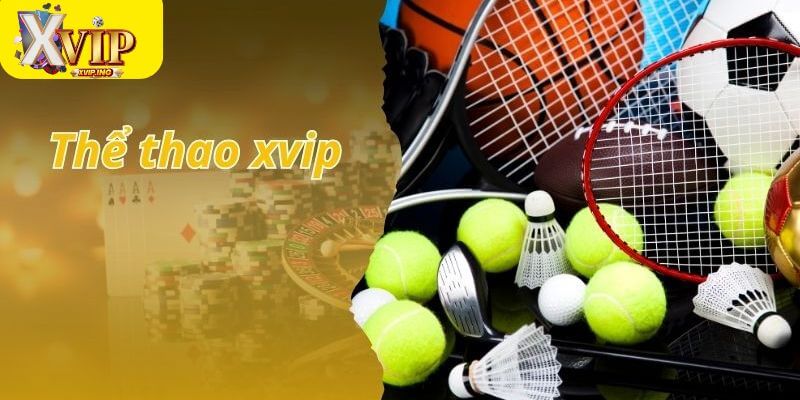 Sảnh cược thể thao XVIP uy tín đảm bảo.
