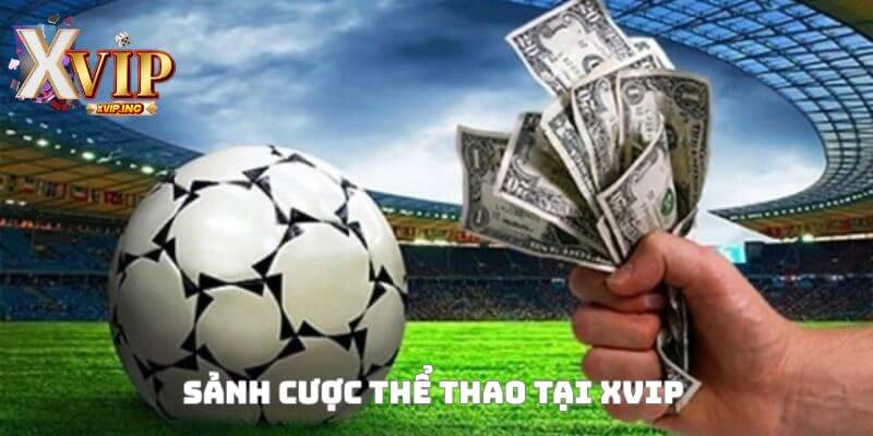 Sân chơi cá cược thể thao tại XVIP hấp dẫn và đầy kịch tính