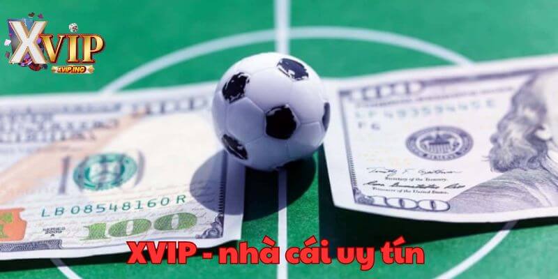 Đến ngay XVIP để có ván cược thể thao với tỷ lệ kèo cực đỉnh.