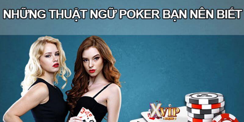 Vị trí bàn cược là phần quan trọng trong thuật ngữ trong poker.